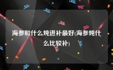 海参和什么炖进补最好(海参炖什么比较补)