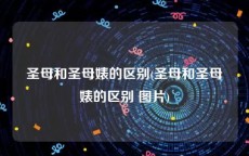 圣母和圣母婊的区别(圣母和圣母婊的区别 图片)