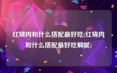 红烧肉和什么搭配最好吃(红烧肉和什么搭配最好吃解腻)