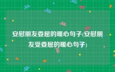 安慰朋友委屈的暖心句子(安慰朋友受委屈的暖心句子)