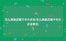 怎么查是否属于中小企业(怎么查是否属于中小企业单位)