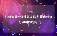 红烧肉炖20分钟可以吗(红烧肉炖20分钟可以吃吗)