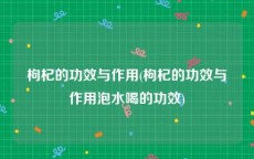 枸杞的功效与作用(枸杞的功效与作用泡水喝的功效)