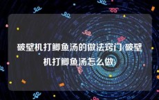破壁机打鲫鱼汤的做法窍门(破壁机打鲫鱼汤怎么做)