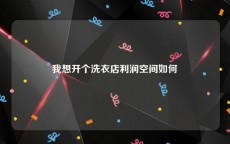 我想开个洗衣店利润空间如何