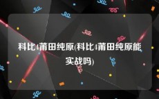 科比4莆田纯原(科比4莆田纯原能实战吗)