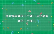 国企最重要的三个部门(央企最重要的三个部门)