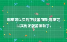 哪里可以买到正版莆田鞋(哪里可以买到正版莆田鞋子)