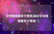 学传媒需要多少费用(高中学传媒需要多少费用)