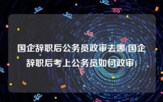 国企辞职后公务员政审去哪(国企辞职后考上公务员如何政审)