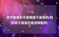 鸽子蛋蛋白不透明是不是假的(假的鸽子蛋蛋白是透明的吗)