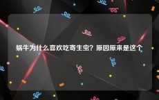 蜗牛为什么喜欢吃寄生虫？原因原来是这个