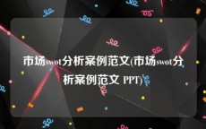 市场swot分析案例范文(市场swot分析案例范文 PPT)
