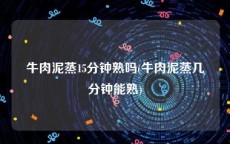 牛肉泥蒸15分钟熟吗(牛肉泥蒸几分钟能熟)