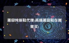 莆田纯原鞋代理(高端莆田鞋在哪里买)