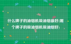 什么牌子的油烟机吸油烟最好(哪个牌子的吸油烟机吸油烟好)