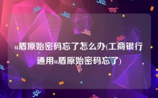 u盾原始密码忘了怎么办(工商银行通用u盾原始密码忘了)