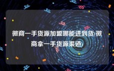 微商一手货源加盟哪能进到货(微商拿一手货源渠道)