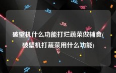 破壁机什么功能打烂蔬菜做辅食(破壁机打蔬菜用什么功能)