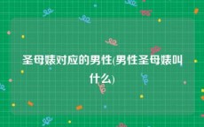 圣母婊对应的男性(男性圣母婊叫什么)