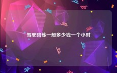驾驶陪练一般多少钱一个小时