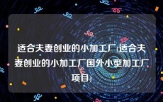 适合夫妻创业的小加工厂(适合夫妻创业的小加工厂国外小型加工厂项目)