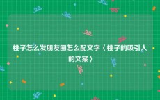 桃子怎么发朋友圈怎么配文字〈桃子的吸引人的文案〉