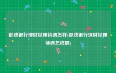 邮政银行理财经理待遇怎样(邮政银行理财经理待遇怎样啊)