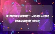 康师傅水晶葡萄什么葡萄味(康师傅水晶葡萄好喝吗)