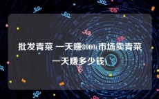 批发青菜 一天赚8000(市场卖青菜一天赚多少钱)