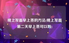 晚上发面早上蒸的方法(晚上发面第二天早上蒸可以吗)