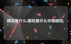 国花是什么(国花是什么中国国花)