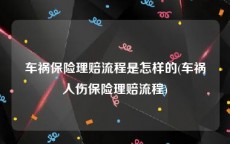 车祸保险理赔流程是怎样的(车祸人伤保险理赔流程)