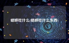蟋蟀吃什么(蟋蟀吃什么东西)