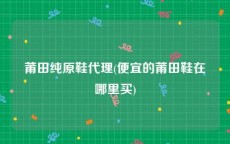 莆田纯原鞋代理(便宜的莆田鞋在哪里买)