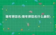 猪年微信名(猪年微信名什么最好)