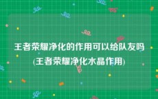 王者荣耀净化的作用可以给队友吗(王者荣耀净化水晶作用)