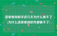 违章查询助手这几天为什么查不了(为什么违章查询软件都查不了)