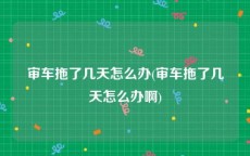 审车拖了几天怎么办(审车拖了几天怎么办啊)