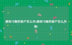 遇到刁难的客户怎么办(遇到刁难的客户怎么办呢)