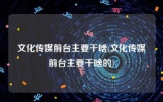 文化传媒前台主要干啥(文化传媒前台主要干啥的)