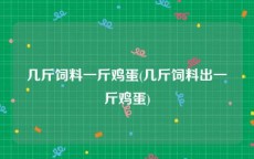 几斤饲料一斤鸡蛋(几斤饲料出一斤鸡蛋)