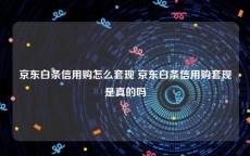 京东白条信用购怎么套现 京东白条信用购套现是真的吗