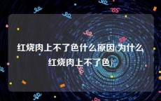 红烧肉上不了色什么原因(为什么红烧肉上不了色)