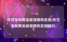 怀女宝和男宝尿液颜色区别(怀女宝和男宝尿液颜色区别图片)