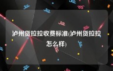 泸州货拉拉收费标准(泸州货拉拉怎么样)