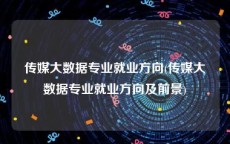 传媒大数据专业就业方向(传媒大数据专业就业方向及前景)