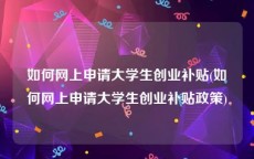 如何网上申请大学生创业补贴(如何网上申请大学生创业补贴政策)