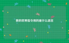 我的世界指令用的是什么语言