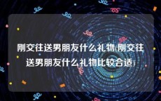 刚交往送男朋友什么礼物(刚交往送男朋友什么礼物比较合适)